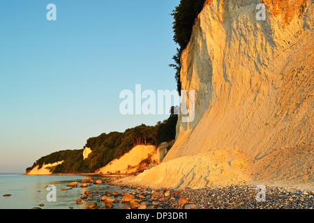 Chalk scogliere a Sunrise, Jasmund National Park, Ruegen Isola, Meclenburgo-Pomerania Occidentale, Germania Foto Stock