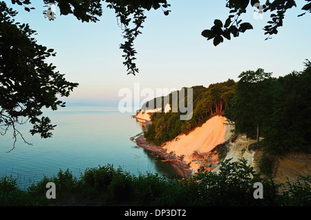 Chalk scogliere a Sunrise, Jasmund National Park, Ruegen Isola, Meclenburgo-Pomerania Occidentale, Germania Foto Stock