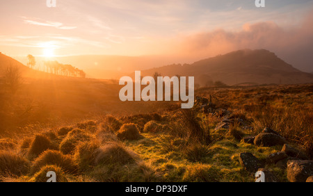 Sunrise a scarafaggi in Peak District, England Regno Unito Foto Stock