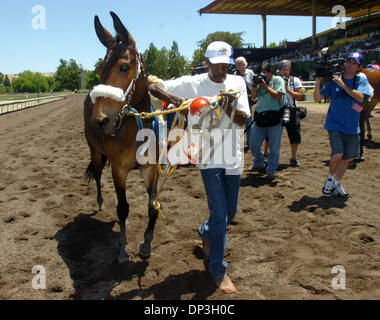 Jul 07, 2006; Pleasanton, CA, Stati Uniti d'America; Paddock uomo Jerry Gallow prende il mulo clonato "Idaho Gem' torna alle scuderie dopo Jockey Victor Navarro posto 4a cavalcare il mulo nella quarta gara a Alameda County Fair corse di cavalli a Pleasanton, California, venerdì 7 luglio 2006. Il mulo "Rossetto sta' posta 3rd, 'Bar JF Hot Ticket' situato 2a e 'al di fuori del campionato' posto 1st. Mandato Foto Stock