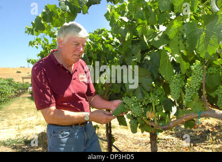 Lug 08, 2006; Livermore, CA, Stati Uniti d'America; Earl R. Ault proprietario e winemaker a Cedar Mountain Winery guarda alcune delle uve chardonnay sulla vite in Livermore, California, sabato 8 luglio 2006. Credito: Foto di Doug Duran/Contra Costa Times/ZUMA premere. (©) Copyright 2006 by Contra Costa Times Foto Stock