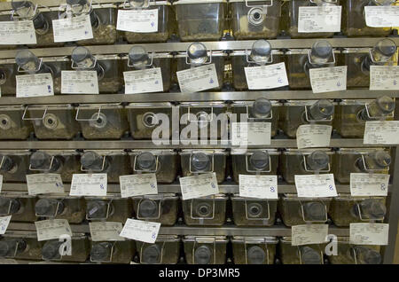 Jul 12, 2006; Davis, CA, Stati Uniti d'America; Mouse gabbie a un UC Davis lab. Credito: Foto di Anne Chadwick Williams/Sacramento Bee/ZUMA premere. (©) Copyright 2006 by Sacramento Bee Foto Stock