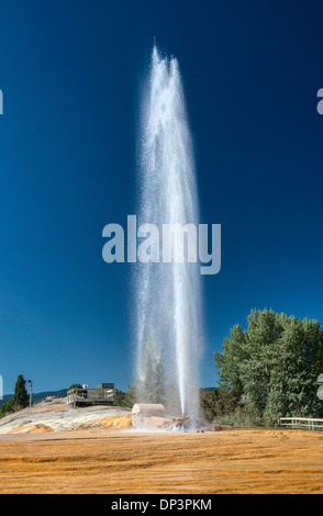 Il Geyser, che erutta ogni ora in Soda Springs, Oregon Trail Bear Lake Scenic Byway, Idaho, Stati Uniti d'America Foto Stock