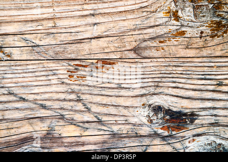 Legno di quercia texture. Dettagliata quercia vecchia struttura come il legno naturale dello sfondo. Foto Stock