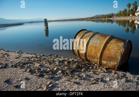 Oct 28, 2006; Salton Sea, CA, Stati Uniti d'America; morta di pesci di Tilapia linea rive sul lato est del Salton Sea, in Imperial County, California. I bassi livelli di oxgen nell'acqua provoca il pesce a morire. Salton Sea California è la più grande, spanning 375 miglia lungo il bacino del deserto chiamato Salton Sink. Credito: Foto da Kat Woronowicz/ZUMA premere. (©) Copyright 2006 da Kat Woronow Foto Stock