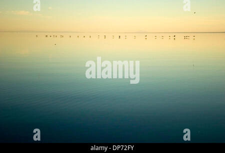 Oct 28, 2006; Salton Sea, CA, Stati Uniti d'America; tramonto a Bombay Beach sul lato est del Salton Sea, in Imperial County, California. Salton Sea California è la più grande, spanning 375 miglia lungo il bacino del deserto chiamato Salton Sink. Credito: Foto da Kat Woronowicz/ZUMA premere. (©) Copyright 2006 da Kat Woronowicz Foto Stock