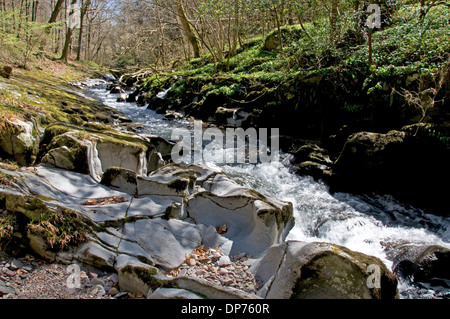 L'Oriente Lyn fiume precipita verso il North Devon Coast vicino a Rockford Foto Stock