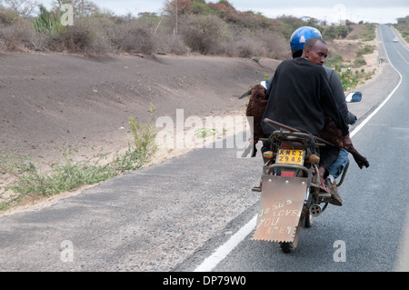 Motore ciclo taxi con il client che trasportano una capra su Nairobi Namanga road a sud di Kajiado Kenya Africa Foto Stock