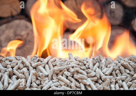 Pellet di pino in fiamme- immagine stock Foto Stock