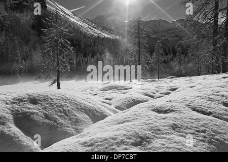 Val Pramper valle montana, stagione invernale, luce solare su larici (Larix decidua). Le Dolomiti della Val di Zoldo. Veneto. Alpi Italiane. Foto Stock