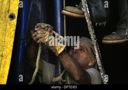 Nov 13, 2006; Stuart, FL, Stati Uniti d'America; Cole fratelli circo delle stelle dipendente Armondo Cepeda funziona con un altro dipendente per fissare il lato alette tenda attorno al perimetro del big top tenda lunedì mattina. La tenda stessa, secondo circus senior marketing director William Tebbetts, è circa le dimensioni di un campo di calcio in lunghezza ed è 5 storie di alta. Essa può ospitare 2500 patrono Foto Stock