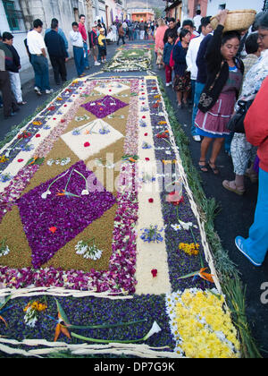 Mar 24, 2006 - Guatemala - Durante l osservanza della Quaresima in Antigua (la) di Antigua Guatemala, Cattolica principali celebrazioni per la Settimana Santa. Le strade sono coperte con una naturale tappeti aromatici (alfombras) di fiori, pini, trifoglio e frutti, che i residenti messi insieme e posto nella parte anteriore delle loro case. (Credito Immagine: © David H. pozzetti/ZUMAPRESS.com) Foto Stock