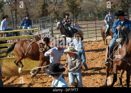 Nov 27, 2006; Malakoff, TX, Stati Uniti d'America; un cavallo nello scivolo ha deciso di non giocare quel giorno e saltò su di esso in una folla di cowboy presso la scuola di rodeo in un ranch vicino a Malakoff, Texas dove pro rodeo il treno migliore futuro bareback e bronc riding stelle. Credito: Foto di David Teagle/ZUMA premere. (©) Copyright 2006 by David Teagle Foto Stock