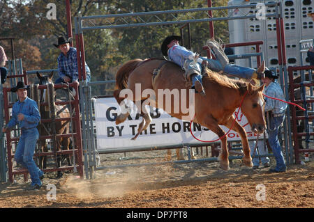 Nov 27, 2006; Malakoff, TX, Stati Uniti d'America; un professionista bareback rider sul circuito pro mostra il cowboy agli studenti come suo fatto a Stace Smith Pro rodeo ranch presso la scuola hanno tenuto la loro ultima settimana di novembre. Molti dei migliori pro rodeo nel mondo ci sono, messa a punto per i cittadini a Las Vegas la settimana seguente. Credito: Foto di David Teagle/ZUMA premere. (©) Copyr Foto Stock