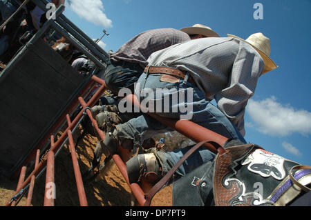 Nov 27, 2006; Malakoff, TX, Stati Uniti d'America; due giovani piloti di attendere il loro turno in strappi arena come essi apprendono da alcuni dei migliori del mondo e bronc bareback professionisti nel mondo. Credito: Foto di David Teagle/ZUMA premere. (©) Copyright 2006 by David Teagle Foto Stock