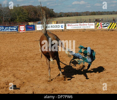 Nov 27, 2006; Malakoff, TX, Stati Uniti d'America; Rodeo cowboy imparare il modo difficile a volte a bronc e bareback scuola da parte di alcuni dei migliori pro rodeo stelle in tutto il mondo nell'ultima settimana di novembre a Stace Smith Pro Rodeo Ranch vicino a Malakoff, Texas. Credito: Foto di David Teagle/ZUMA premere. (©) Copyright 2006 by David Teagle Foto Stock