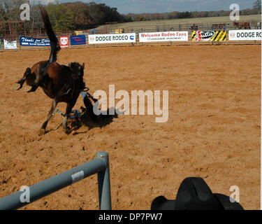 Nov 27, 2006; Malakoff, TX, Stati Uniti d'America; un giovane bareback rider apprende il modo difficile che cosa significa essere calpestato da un cavallo. Gli studenti provengono da Australia, Canada, California e dagli stati vicini alla zona del Texas dove la maggior parte dei campioni del mondo nel rodeo sport sono sollevate. Credito: Foto di David Teagle/ZUMA premere. (©) Copyright 2006 by David Teagle Foto Stock