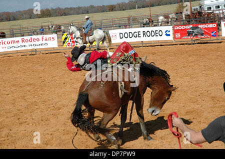 Nov 27, 2006; Malakoff, TX, Stati Uniti d'America; Wes Stevenson, uno dei top bareback piloti al mondo mostra i giovani e stelle come ha fatto a Stace Smith ranch. Gli studenti provengono da Australia, Canada, California e dagli stati vicini alla zona del Texas dove la maggior parte dei campioni del mondo nel rodeo sport sono sollevate. Credito: Foto di David Teagle/ZUMA premere. (©) Copyright 20 Foto Stock