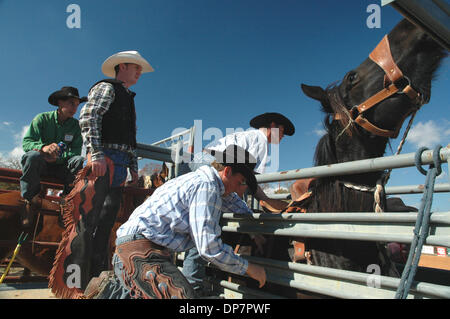 Nov 27, 2006; Malakoff, TX, Stati Uniti d'America; Pro rodeo veterani aiutare bareback e piloti bronc imparare a gestire un cavallo eccitato. Gli studenti provengono da Australia, Canada, California e dagli stati vicini alla zona del Texas dove la maggior parte dei campioni del mondo nel rodeo sport sono sollevate. Credito: Foto di David Teagle/ZUMA premere. (©) Copyright 2006 by David Teagle Foto Stock