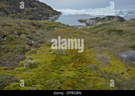 Iceberg ammucchiati in icefiord, partorito da Sermeq Kujalleq ghiacciaio, Ilullisat, Groenlandia occidentale Foto Stock