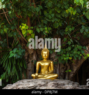 Golden statua di Buddha nel Wat Phan Tao tempio in Chiang Mai Thailandia Foto Stock