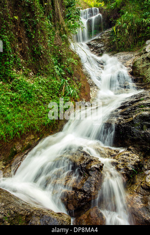 La lunga esposizione di immagine di una bella cascata nella foresta Foto Stock