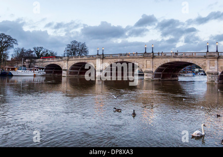 Pietra ponte arcuato, swan e uccelli acquatici al tramonto oltre il Tamigi - Kingston upon Thames, Greater London Foto Stock