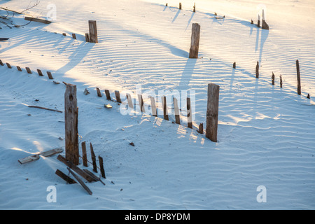 Righe di scherma contribuiscono a mantenere le dune di sabbia in luogo a Gulf Shores Alabama spiagge Foto Stock