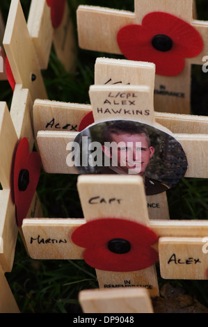 Croci poste sull'erba al di fuori dell Abbazia di Westminster in onore di coloro che sono morti in guerra, Londra Inghilterra Regno Unito Regno Unito Foto Stock