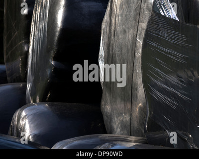 Rivestito in plastica nera di balle di fieno, Derbyshire, Regno Unito Foto Stock