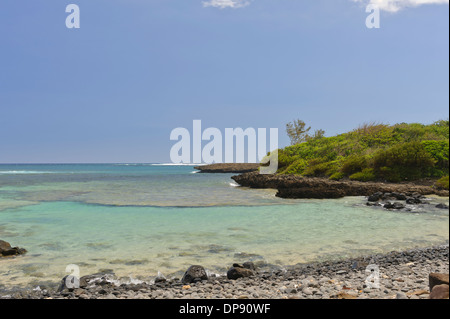 Granelli di tutte le dimensioni di coprire la spiaggia da iles ilot Sancho, è una piccola isola deserta nel distretto di Savannah, Mauritius. Foto Stock