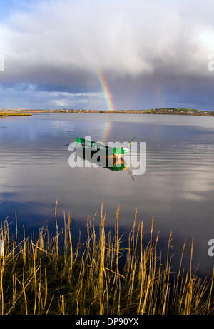 Ardara, County Donegal, Irlanda. 9 gennaio 2014. La calma anche se ancora tempo piovoso per l'Irlanda costa atlantica che ha subito pesanti danni in recenti tempeste. Foto di:Richard Wayman/Alamy Live News Foto Stock