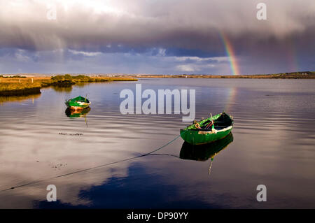 Ardara, County Donegal, Irlanda. 9 gennaio 2014. La calma anche se ancora tempo piovoso per l'Irlanda costa atlantica che ha subito pesanti danni in recenti tempeste. Foto di:Richard Wayman/Alamy Live News Foto Stock