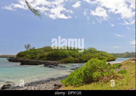 Granelli di tutte le dimensioni di coprire la spiaggia da iles ilot Sancho, è una piccola isola deserta nel distretto di Savannah, Mauritius. Foto Stock