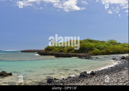 Granelli di tutte le dimensioni di coprire la spiaggia da iles ilot Sancho, è una piccola isola deserta nel distretto di Savannah, Mauritius. Foto Stock