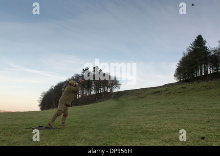 I tiratori, utilizzando 12 foro fucile, su un fagiano sparare nel Yorkshire Dales, UK. Foto Stock