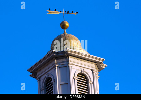 Gli uccelli sedersi sulla banderuola di St John's chiesa episcopale, Washington DC. 17 dicembre, 2013. Foto di Trevor Collens. Foto Stock