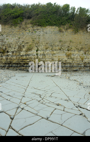 Notevole di pavimentazione come gli strati al punto Lavernock Foto Stock