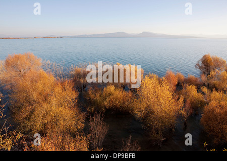 Vista panoramica del lago Beyşehir Konya Turchia Foto Stock