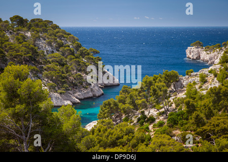 Vista sul vicino Calanques di Cassis, Provenza, Francia Foto Stock