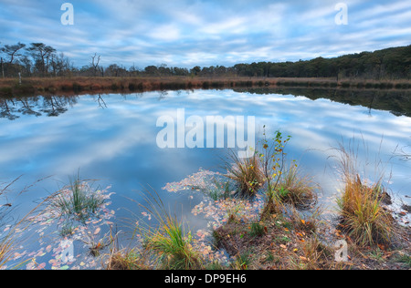 Il cielo si riflette nel piccolo lago, Drenthe, Paesi Bassi Foto Stock