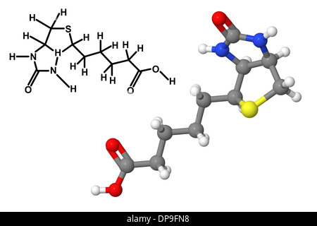 Vitamina B7 (biotina, vitamina H, coenzima R) molecola con formula chimica isolati su sfondo bianco Foto Stock