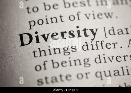 Fake Dizionario, definizione del dizionario della parola diversità. Foto Stock
