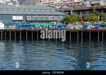 L'Aquarium di Seattle sul molo del porto di Seattle. Seattle, Washington Foto Stock