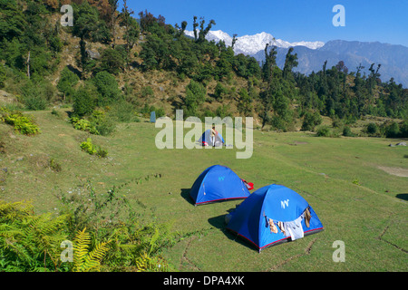 Campeggio selvaggio sotto il villaggio Kareri nr Mcleodganj, Dharamasala, Himachal Pradesh, India del Nord, con montagne Dhauladhar al di là. Foto Stock