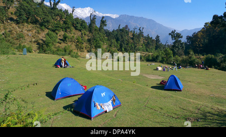 Campeggio selvaggio sotto il villaggio Kareri nr Mcleodganj, Dharamasala, Himachal Pradesh, India del Nord, con montagne Dhauladhar al di là. Foto Stock