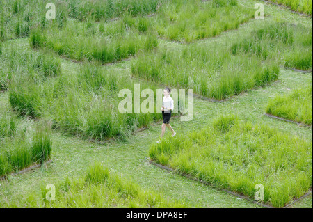 Giovane lavoratore di ufficio passeggiando attraverso il labirinto di erba Foto Stock