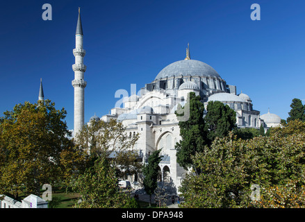 La Moschea di Suleymaniye, Istanbul, Turchia Foto Stock