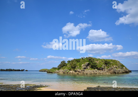 Isole tropicali sulla costa dell'isola giapponese Iriomote Foto Stock