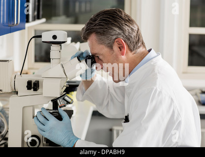 Scienziato usando microscopio Foto Stock